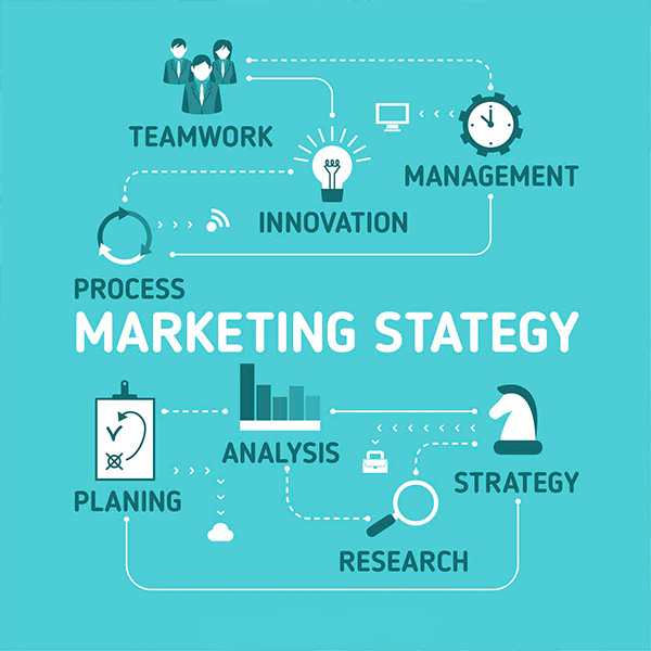 Social Media Strategy Marketing & Management, Διαχείριση Κοινωνικών Δικτύων